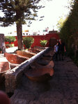 pic_19854.jpg