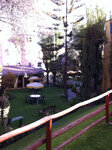 pic_19876.jpg