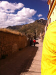 pic_19895.jpg