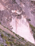 pic_19930.jpg