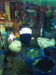 pic_20035.jpg