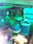 pic_20037.jpg