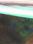 pic_20039.jpg