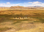 pic_20047.jpg