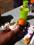 pic_20104.jpg