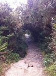 pic_20202.jpg
