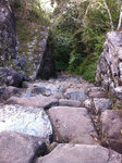 pic_20252.jpg