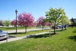 pic_05767.jpg