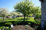 pic_05769.jpg