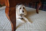pic_05805.jpg