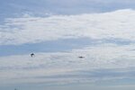 pic_05867.jpg