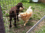 pic_23944.jpg