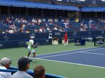 pic_23554.jpg
