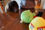 pic_05958.jpg