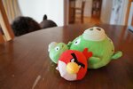 pic_05963.jpg