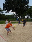 pic_25448.jpg