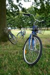 pic_24935.jpg