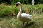 pic_24952.jpg