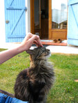 pic_25034.jpg
