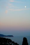 pic_25115.jpg