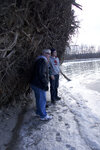 pic_25665.jpg