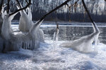 pic_25670.jpg