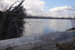pic_25677.jpg