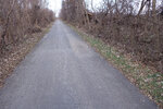 pic_25680.jpg