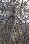 pic_25685.jpg