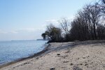 pic_25702.jpg
