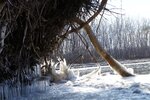 pic_25706.jpg