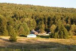 pic_25474.jpg