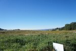 pic_25503.jpg