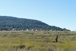 pic_25505.jpg