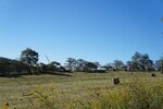 pic_25506.jpg
