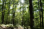 pic_25508.jpg