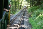 pic_25547.jpg