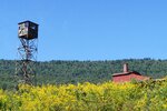 pic_25548.jpg