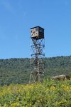 pic_25549.jpg