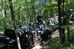pic_25576.jpg
