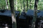 pic_25577.jpg