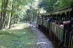pic_25579.jpg