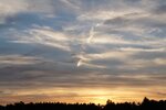 pic_25605.jpg