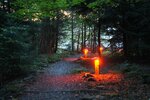 pic_25616.jpg