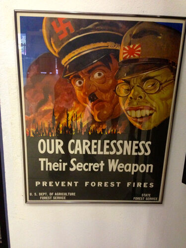 Yes, the nazi's were the only racists during WWII.