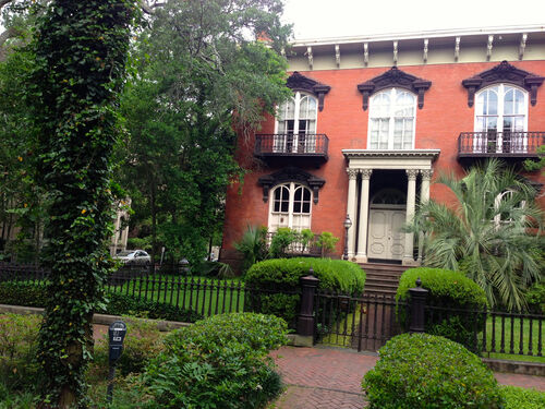 Savannah
