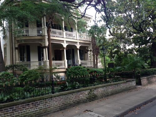 Savannah
