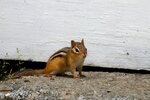 pic_24678.jpg