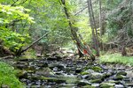 pic_24682.jpg