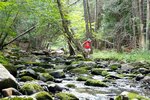 pic_24684.jpg